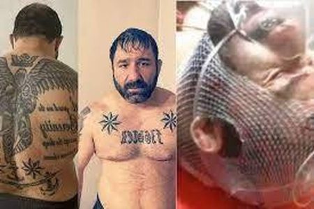 "رازهای ناگفته‌ای از زندگی و جنجال‌های هانی کرده" 2 به روز چی | رتبه 1 مطالب جالب و خواندی