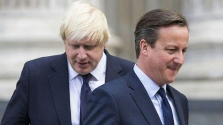 کامرون جانسون: داستان موفقیت و نوآوری