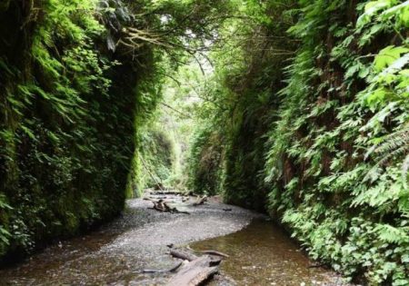 رودخانه جوی: جاذبه‌ای طبیعی در کالیفرنیا