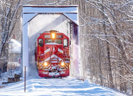 "جادوی برف: تجربه‌ای از طراوت و زیبایی زمستانی" 4 به روز چی | رتبه 1 مطالب جالب و خواندی